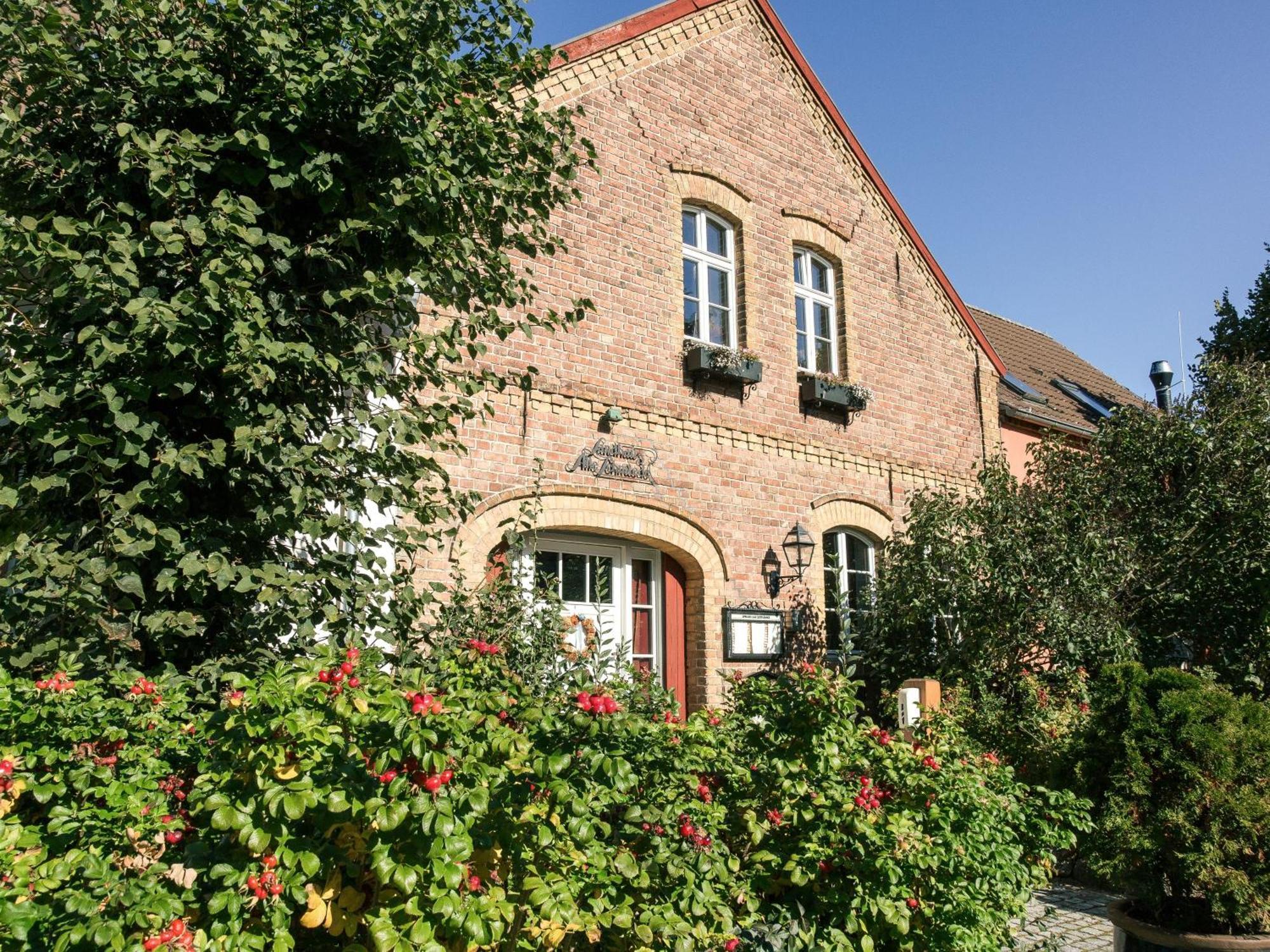 Niemegk  Landhaus Alte Schmiede מראה חיצוני תמונה