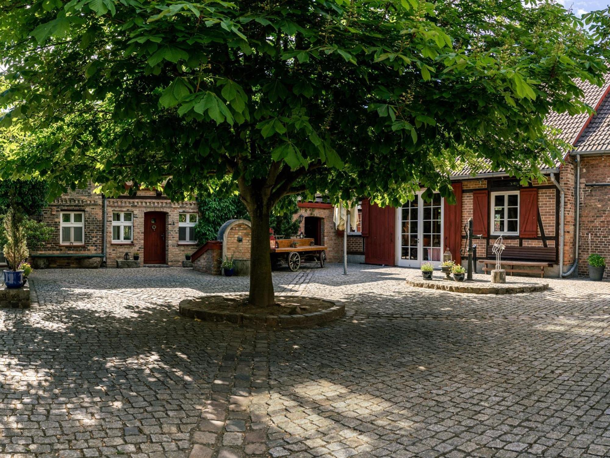 Niemegk  Landhaus Alte Schmiede מראה חיצוני תמונה